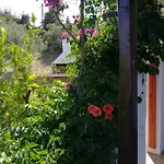 Apartment Christou Homes Steni Vala Alonissos