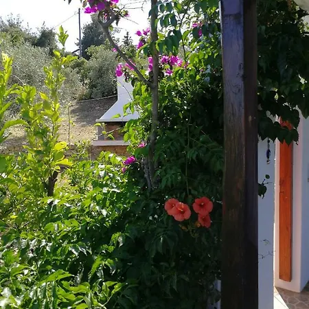Apartment Christou Homes Steni Vala Alonissos